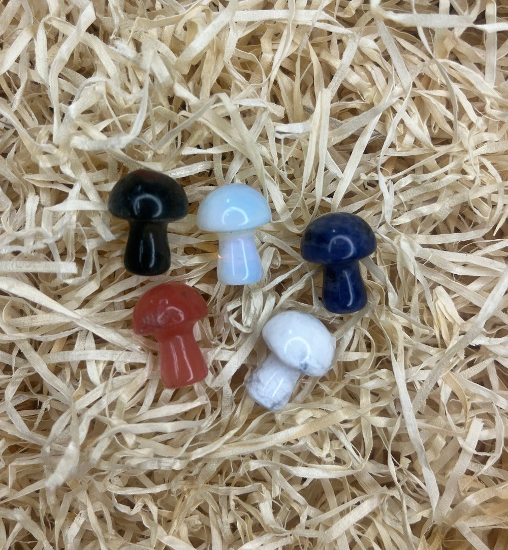 Gemstone Mushrooms