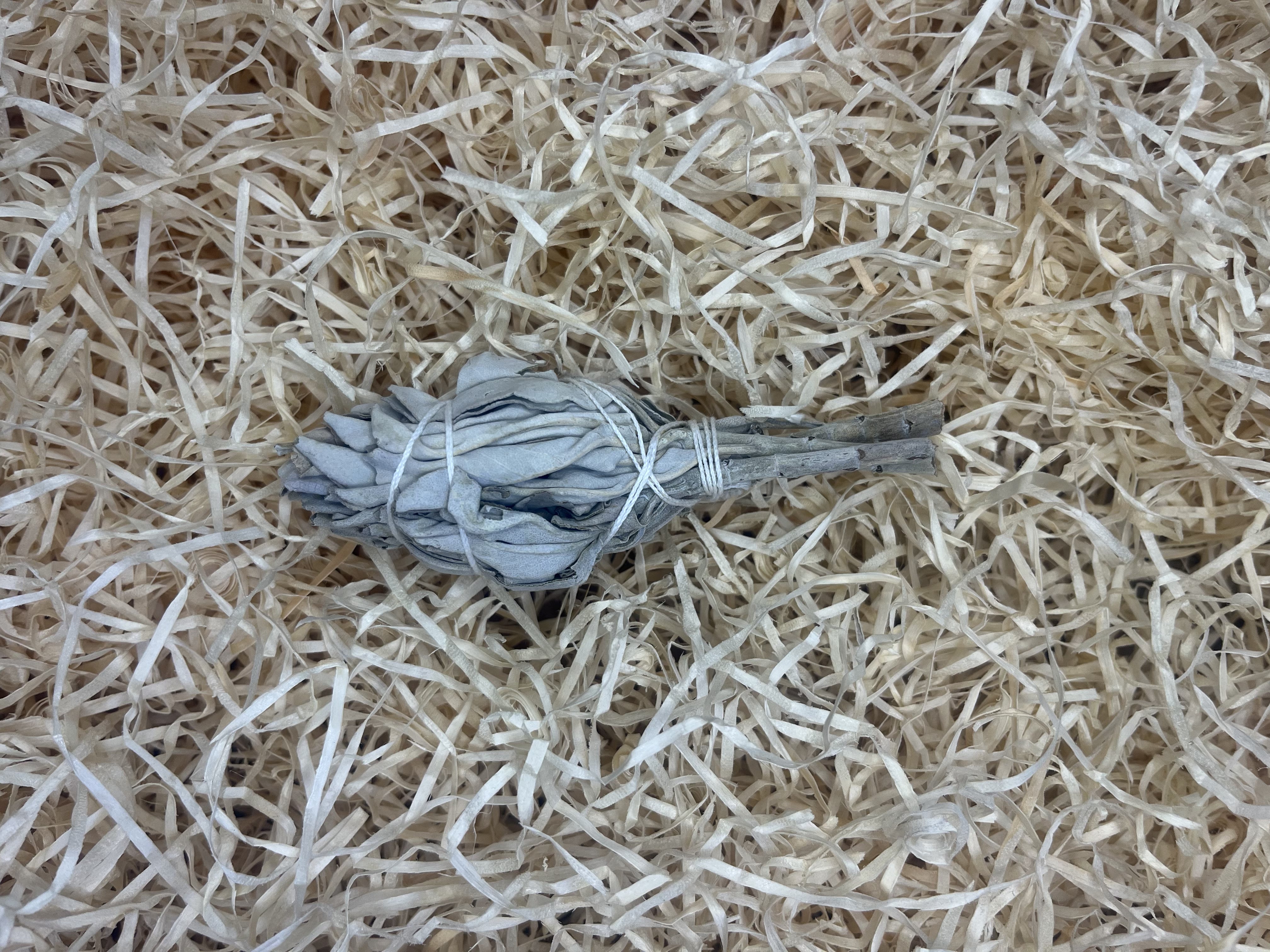 Sage Smudge Small Bulb
