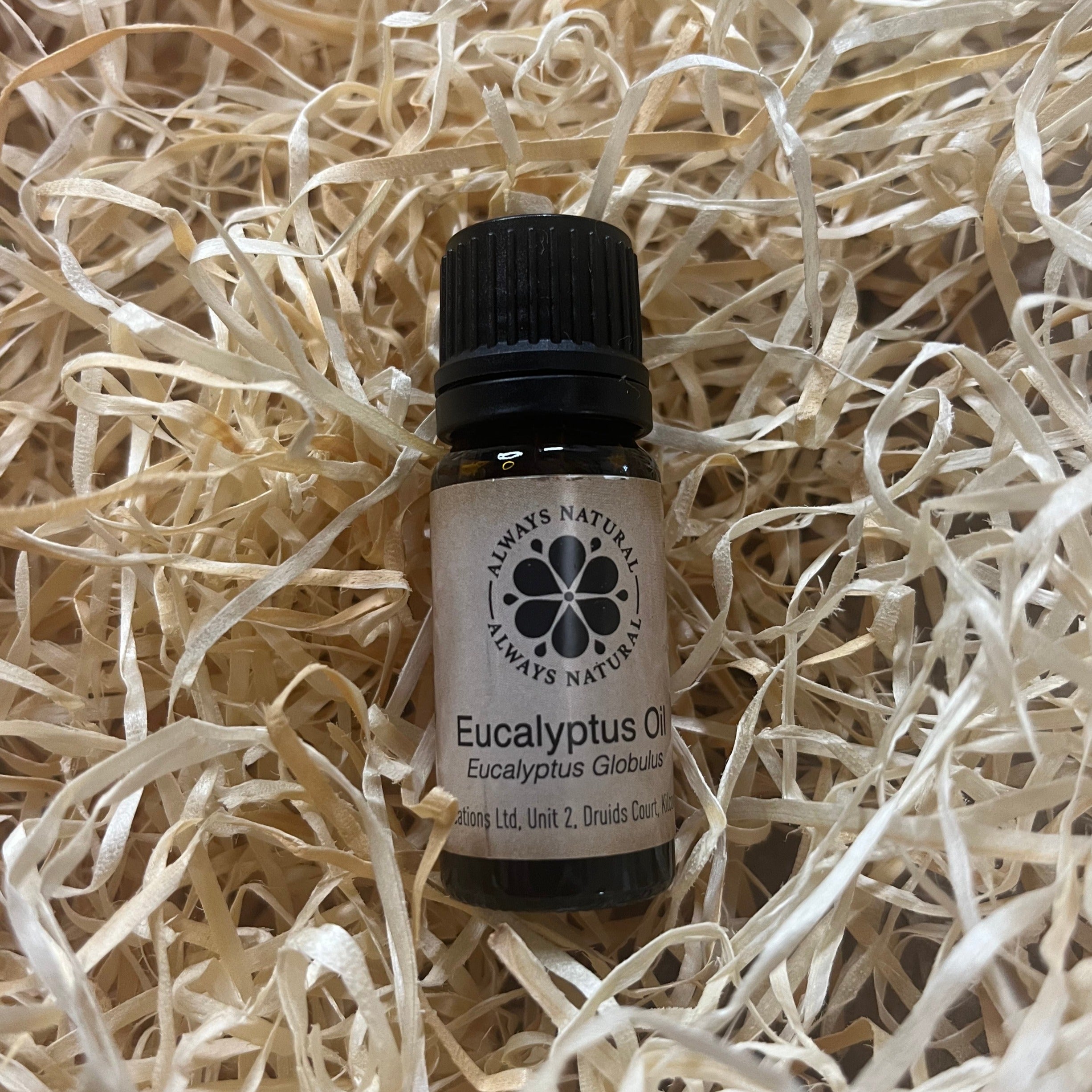 Eucalyptus Globulus Oil