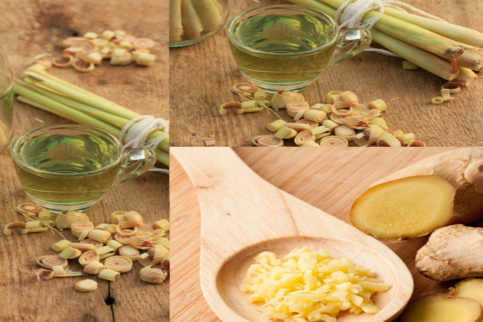 Lemongrass & Ginger Fragrance