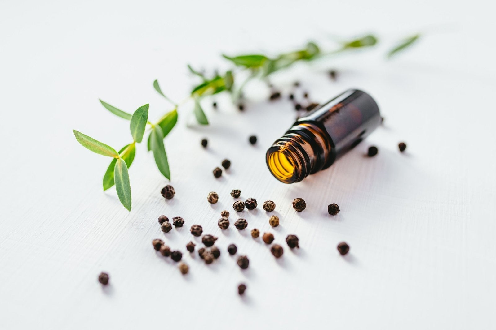 Black Pepper Essential Oil