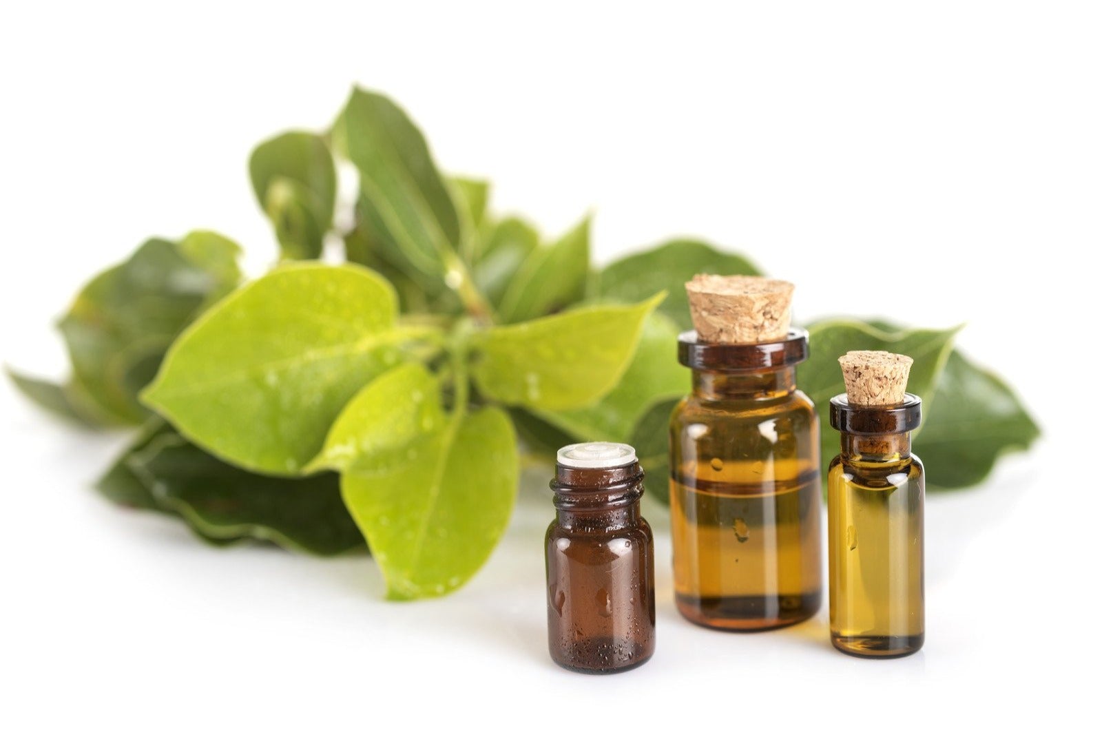 Camphor Oil White