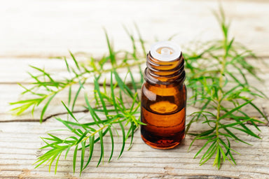 Tea Tree Oil