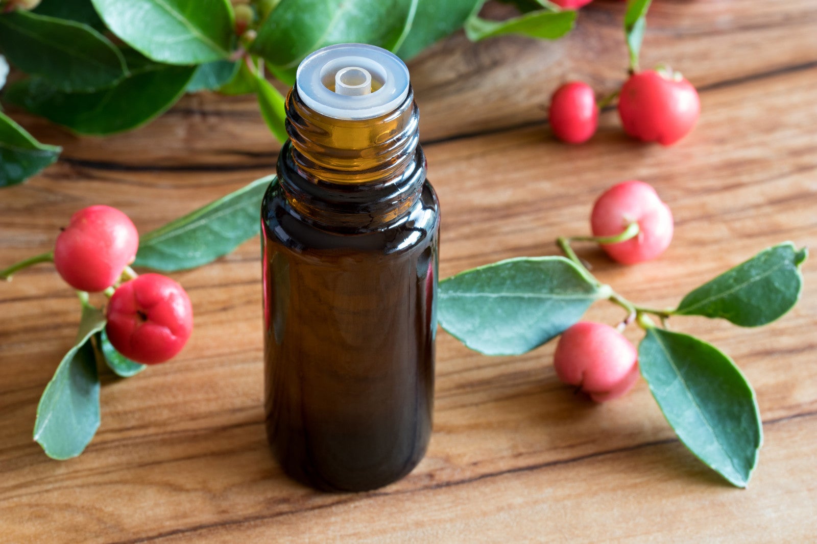 Wintergreen Oil