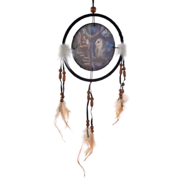 Lisa Parker Fairy Tales Owl & Fairy Dreamcatcher 16cm