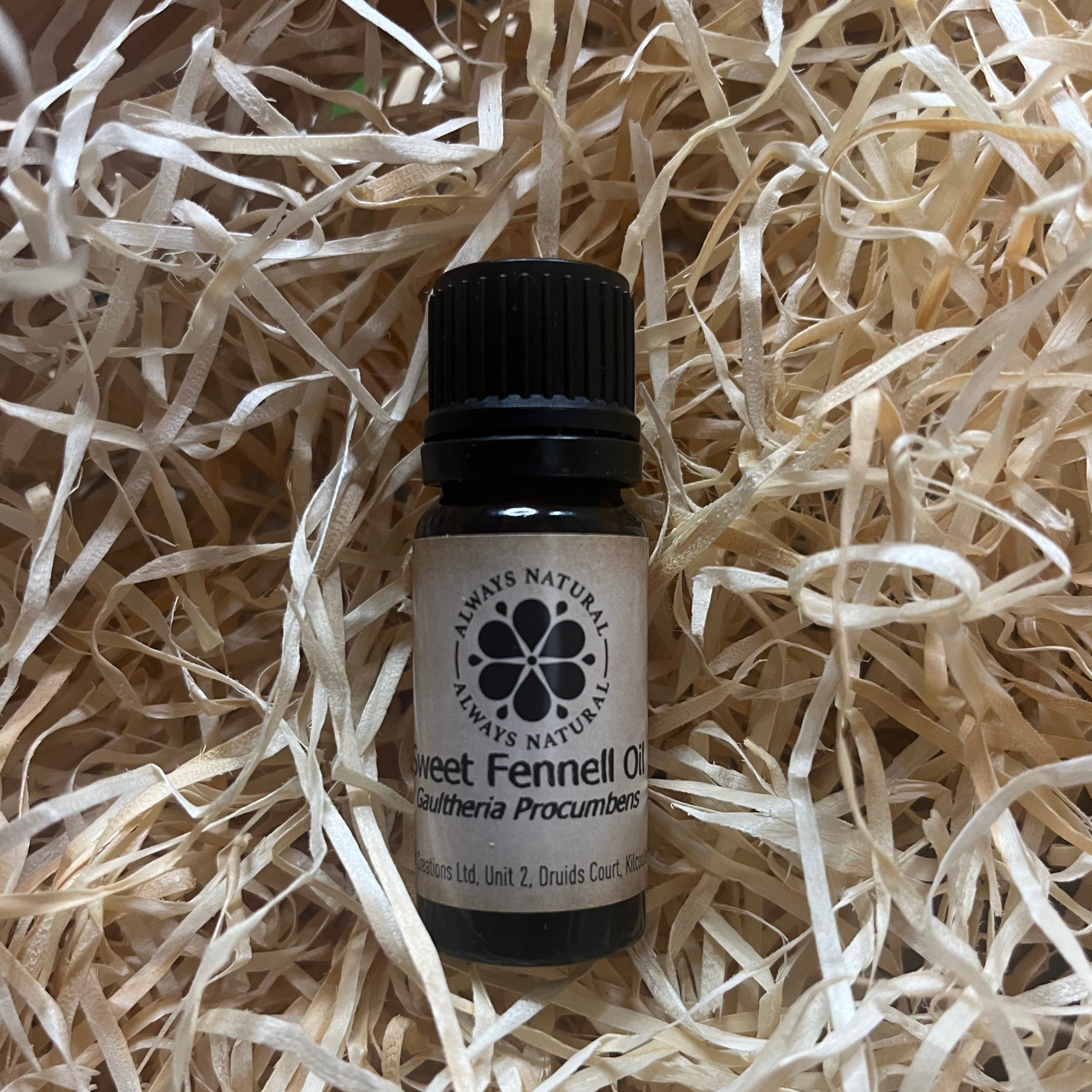 Fennel Oil Sweet