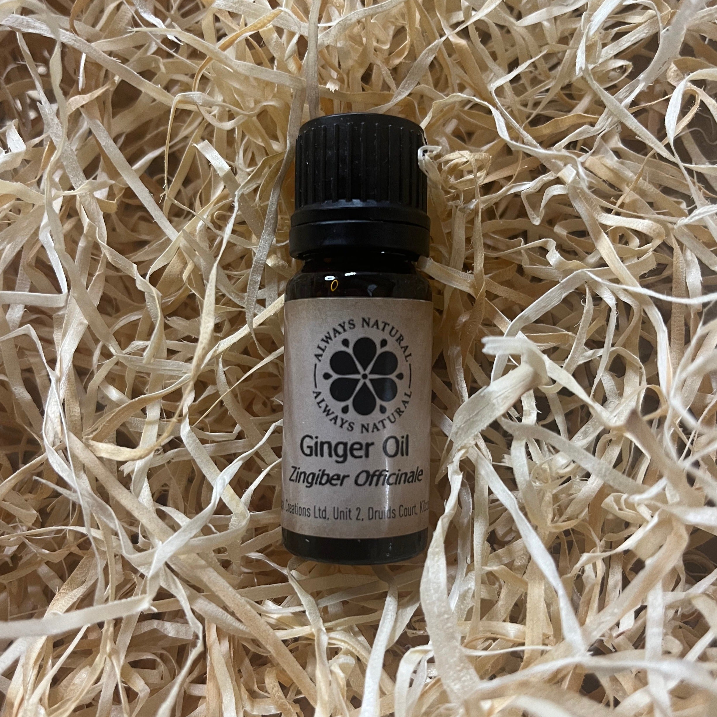 Ginger Oil