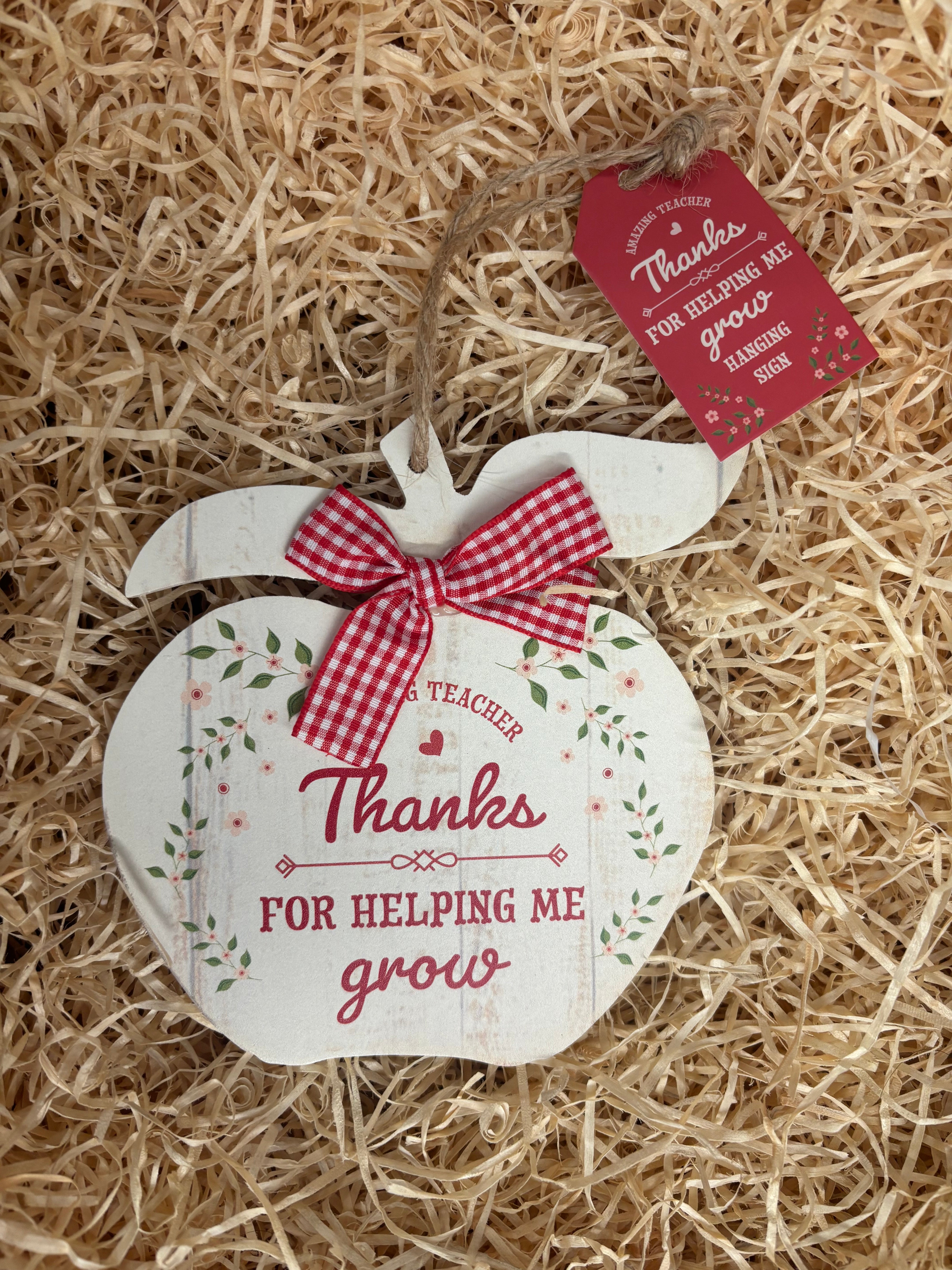 Teacher Hanging Decoration "Thanks for Helping me grow"