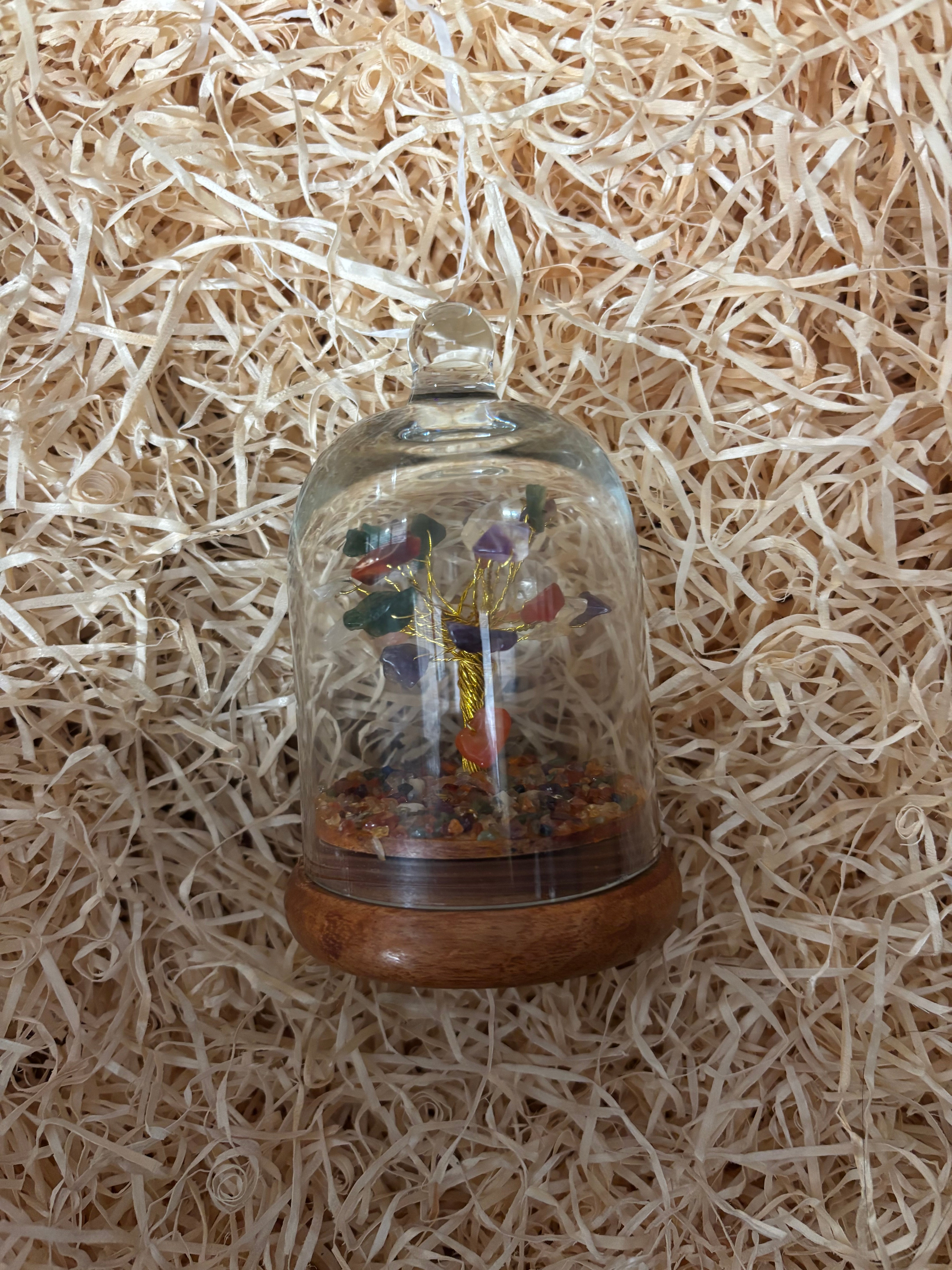 Tree of Life Wish in a Bottle
