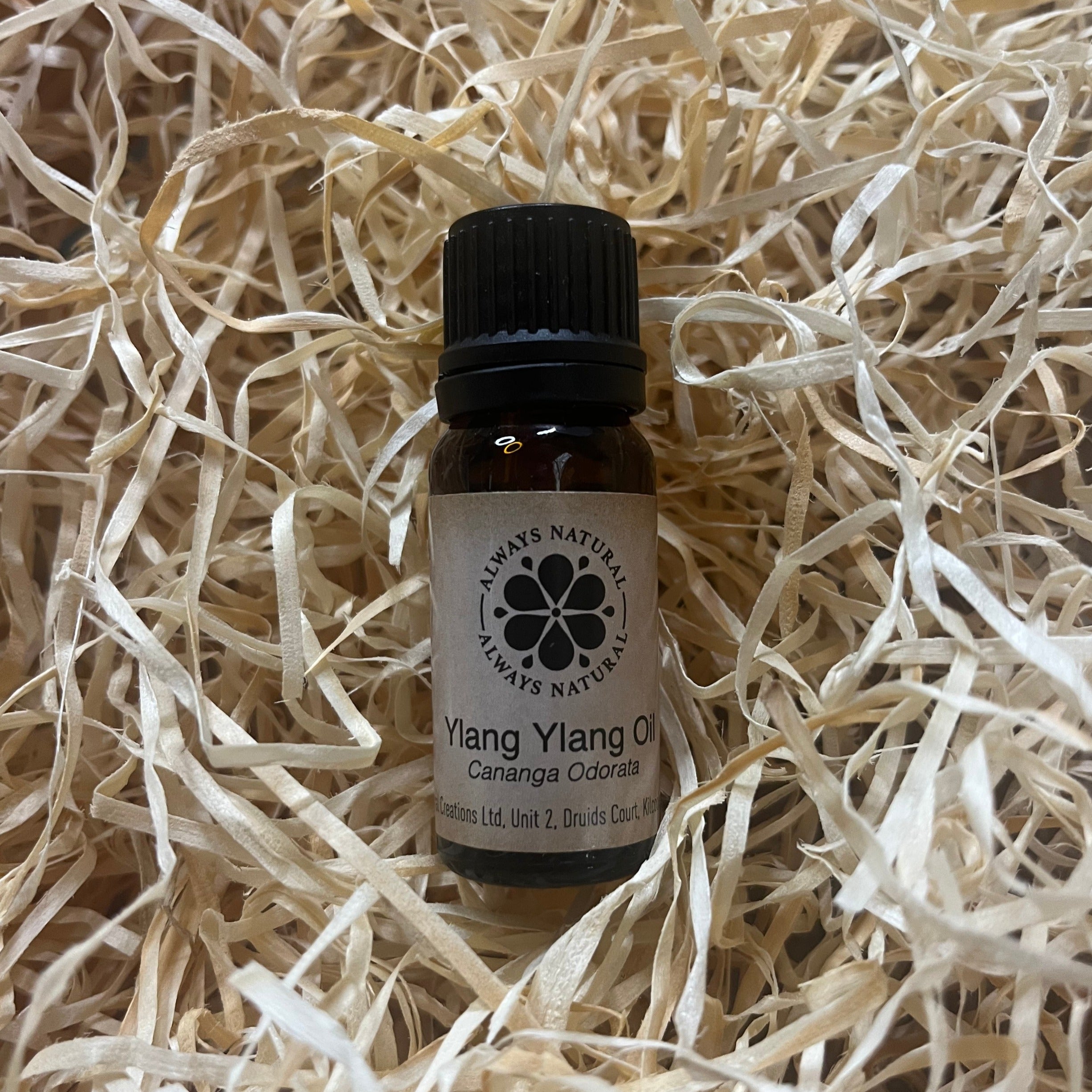 Ylang Ylang (no. III) Oil