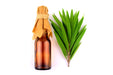 Cajeput Oil 10ml