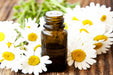 Chamomile (Maroc)