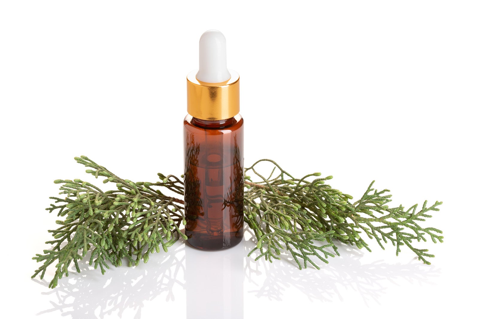 Cypress Oil