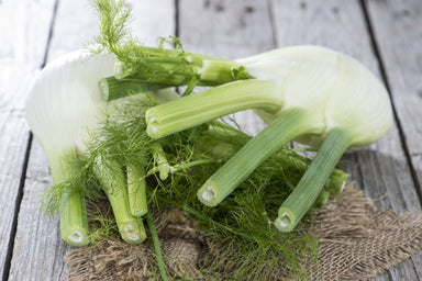 Fennel Oil Sweet