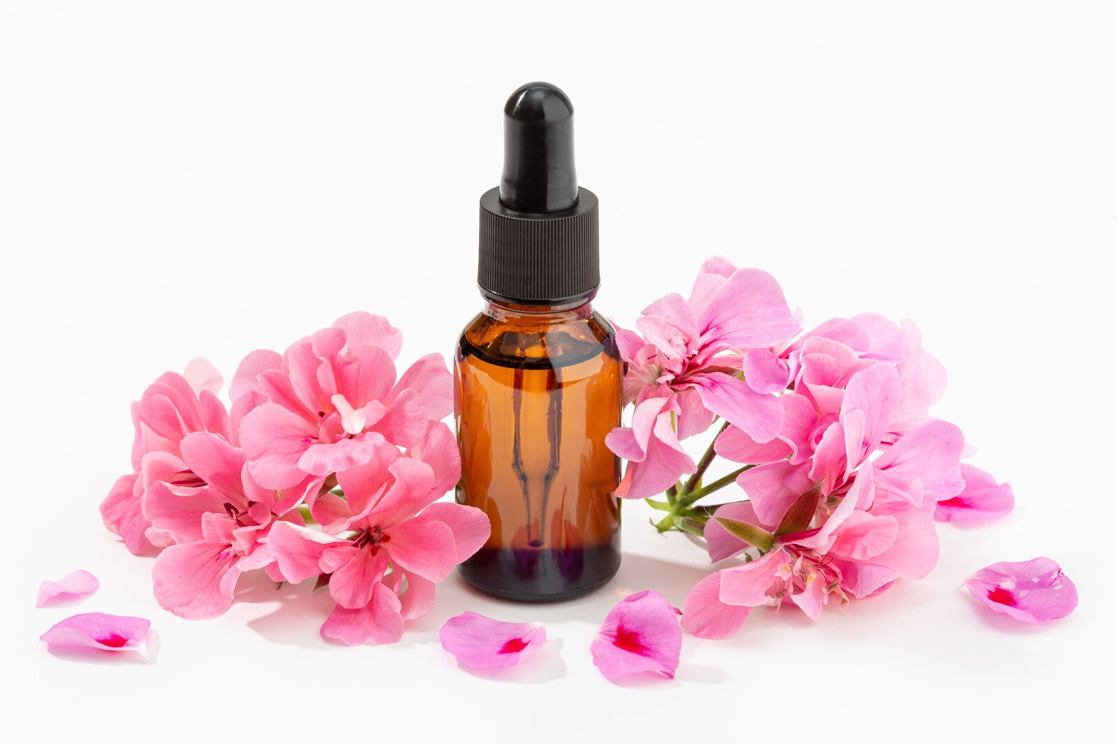 Rose Geranium