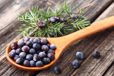 Juniperberry Oil