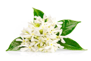 Neroli Oil 5% in Grapeseed