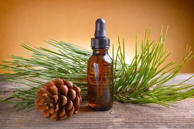 Pine Oil (Pinus Sylvestris)
