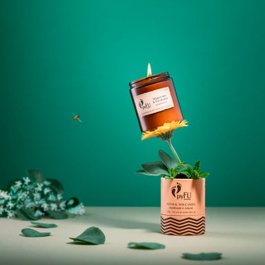 Natural Wax Candle - 12 Peppermint & Eucalyptus - pyFU